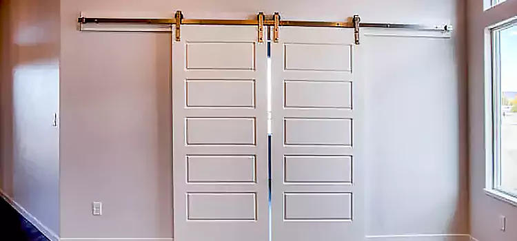 Glass Barn Door with Installation Hardware Kit South Whittier